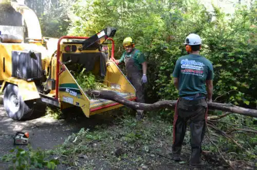 tree services Mendota